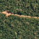 Logging trucks are seen from space in this picture of the Peruvian Amazon rainforest.